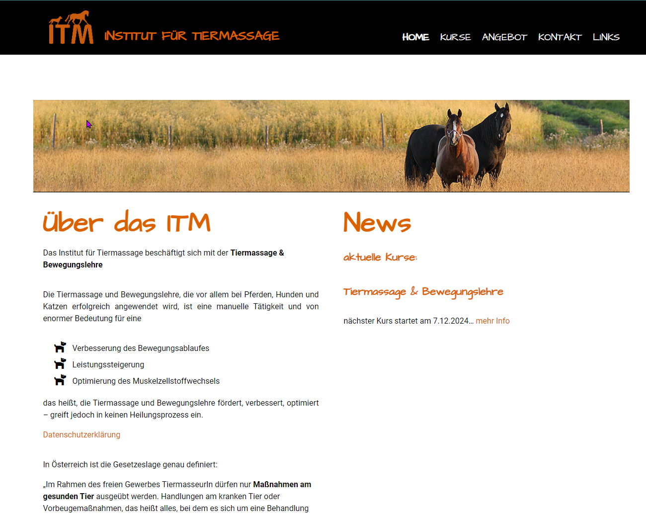 Screenshot ITM Institut für Tiermassage Website